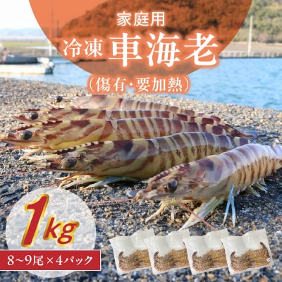 家庭用Mサイズ 冷凍 車海老(傷有・要加熱)1kg_S146-003