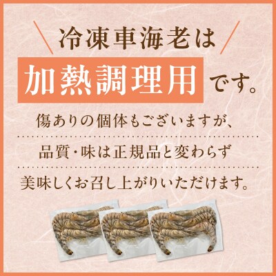 家庭用Mサイズ 冷凍 車海老(傷有・要加熱)1kg_S146-003