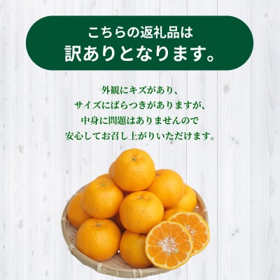 【訳あり】農家の手摘み 太田 ポンカン 家庭用約5kg_S040-027