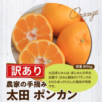 【訳あり】農家の手摘み 太田 ポンカン 家庭用約5kg_S040-027