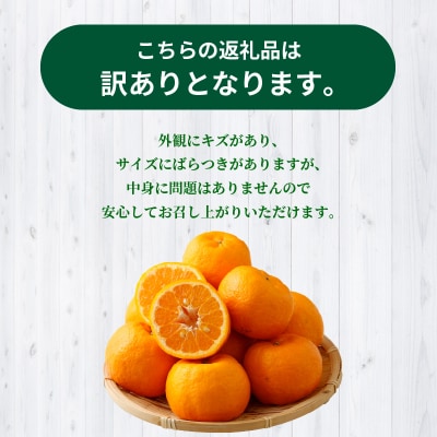 【訳あり】農家の手摘み　天草ポンカン　家庭用　5kg_S040-028