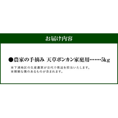 【訳あり】農家の手摘み　天草ポンカン　家庭用　5kg_S040-028