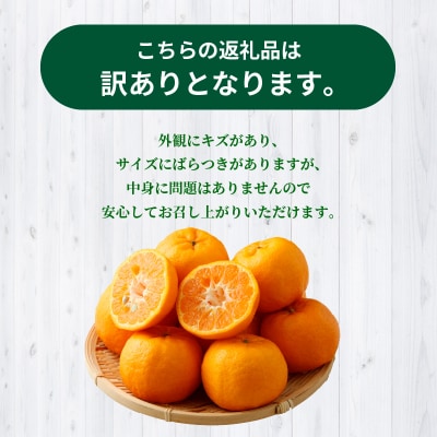 【訳あり】農家の手摘み　下浦100年ポンカン　家庭用　5kg_S040-029