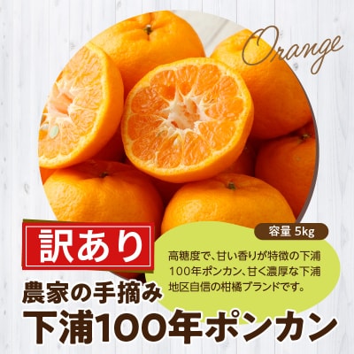 【訳あり】農家の手摘み　下浦100年ポンカン　家庭用　5kg_S040-029