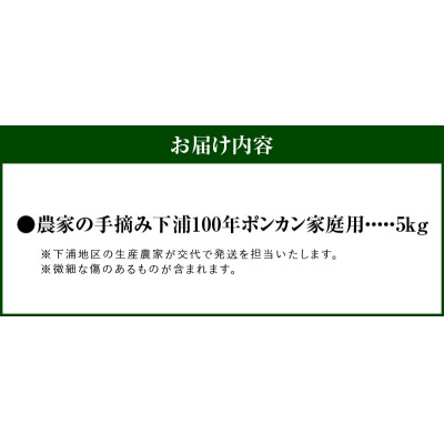 【訳あり】農家の手摘み　下浦100年ポンカン　家庭用　5kg_S040-029