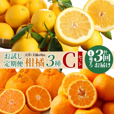 【お試し定期便】天草・下浦の旬の柑橘3種Cセット_S040-T10