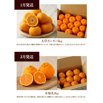 【お試し定期便】天草・下浦の旬の柑橘3種Cセット_S040-T10