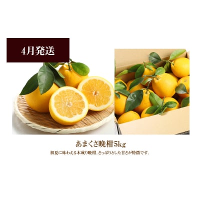 【お試し定期便】天草・下浦の旬の柑橘3種Cセット_S040-T10