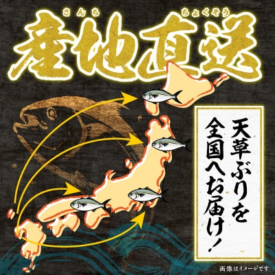 活〆天草ぶり ブリフィレ 約1.5kg【先行受付】_S042-005