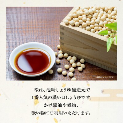 池崎しょうゆ醸造元 大人気 濃い口しょうゆ 2本セット_S022-005