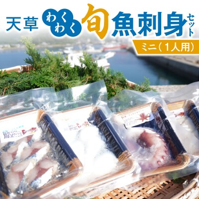 天草わくわく旬魚刺身セットミニ(1人用)_S059-021