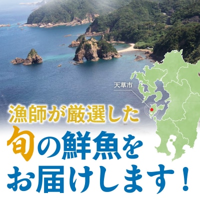 天草わくわく旬魚刺身セットミニ(1人用)_S059-021