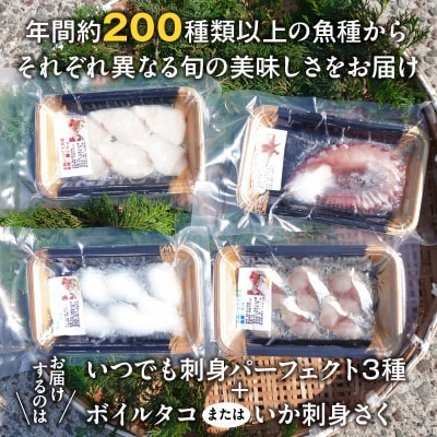 天草わくわく旬魚刺身セットミニ(1人用)_S059-021