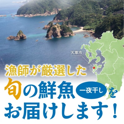 旬の鮮魚一夜干し3種お試しセット_S059-022