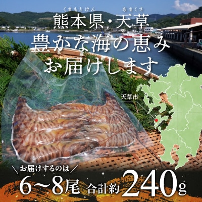 特大 車エビ 1パック_S059-024