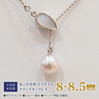 あこや真珠 ホワイトピンク 8-8.5mm 1粒 ネックレス  【白蝶貝】_S101-383