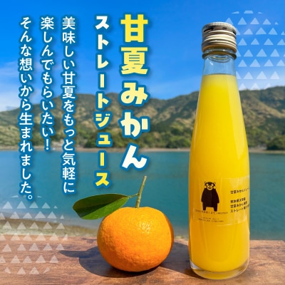 甘夏みかんストレートジュース_S162-002