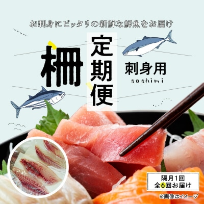 指定日必須【隔月　6回お届け】天草天然鮮魚を直送　お刺身用柵定期便_S121-T02