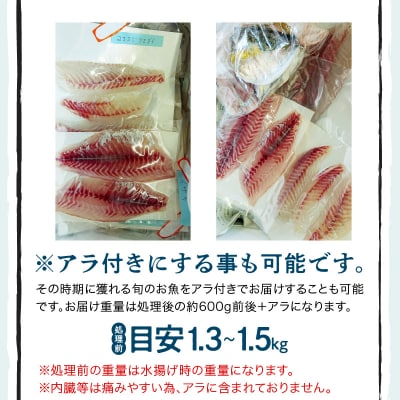 指定日必須【隔月　6回お届け】天草天然鮮魚を直送　お刺身用柵定期便_S121-T02