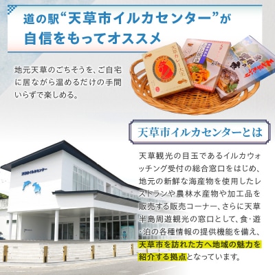 温めるだけ!天草ごちそうお手軽セット_S104-011
