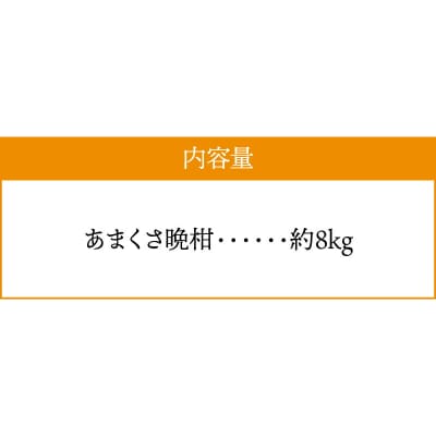 【先行受付】熊本県天草産木成りあまくさ晩柑 約8kg_S153-003