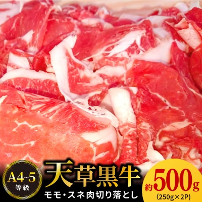 天草黒牛 モモ・スネ肉 切り落とし 約500g 黒毛和牛 A4～5等級_S074-016