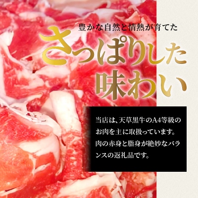 天草黒牛 モモ・スネ肉 切り落とし 約500g 黒毛和牛 A4～5等級_S074-016