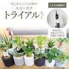 【ふるさと納税限定】初心者の人にもお勧め!エコ・ポチ　トライアルセット_S060-110