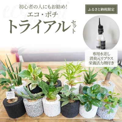 【ふるさと納税限定】初心者の人にもお勧め!エコ・ポチ　トライアルセット_S060-110