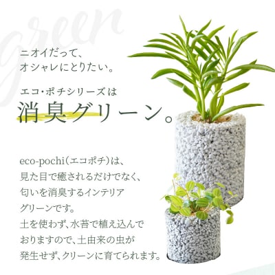 【ふるさと納税限定】初心者の人にもお勧め!エコ・ポチ　トライアルセット_S060-110