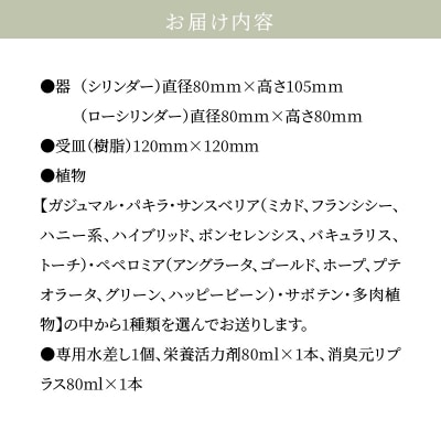 【ふるさと納税限定】初心者の人にもお勧め!エコ・ポチ　トライアルセット_S060-110