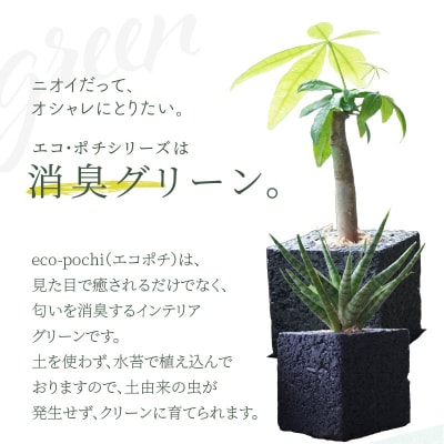 【ふるさと納税限定】初心者の人にもお勧め!エコ・ポチ　トライアルセット・ミニ_S060-111
