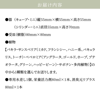 【ふるさと納税限定】初心者の人にもお勧め!エコ・ポチ　トライアルセット・ミニ_S060-111