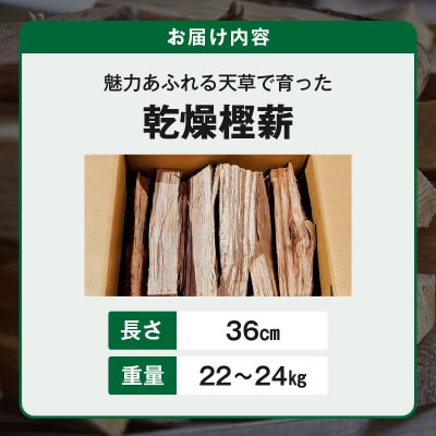 魅力あふれる天草で育った乾燥樫薪(天樫　長さ36cm　22～24kg)_S163-002