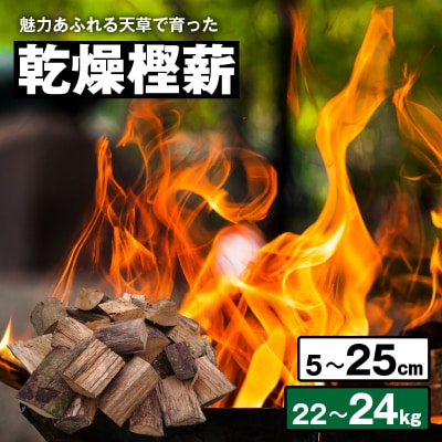 魅力あふれる天草で育った乾燥樫薪(天樫　5cm～25cmコロ薪　22～24kg)_S163-003