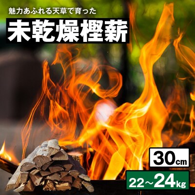 魅力あふれる天草で育った未乾燥樫薪(天樫　長さ30cm　22～24kg)_S163-007