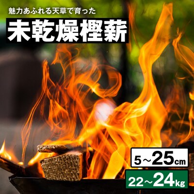 魅力あふれる天草で育った未乾燥樫薪(天樫　5cm～25cmコロ薪　22～24kg)_S163-009