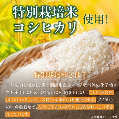 【令和8年産】特別栽培米　健幸米2kg_S067-023