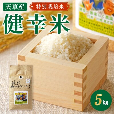 【令和8年産】特別栽培米　健幸米5kg_S067-024