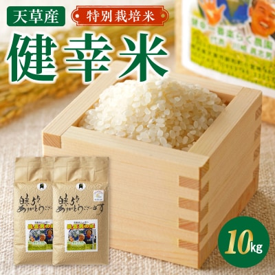 【令和8年産】特別栽培米　健幸米10kg(5kg×2袋)_S067-025