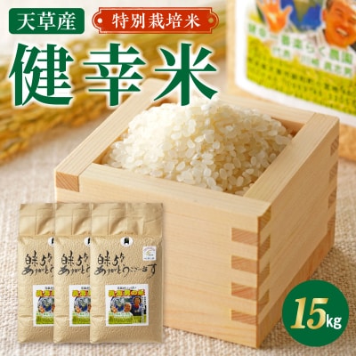 【令和8年産】特別栽培米　健幸米15kg(5kg×3袋)_S067-026