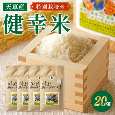 【令和8年産】特別栽培米　健幸米20kg(5kg×4袋)_S067-027