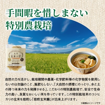 特別栽培米からできた焙煎玄米麺(120g×5袋)_S067-028
