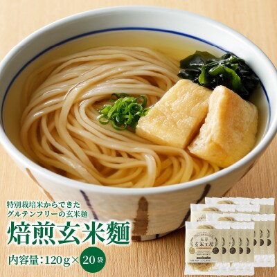 特別栽培米からできた焙煎玄米麺(120g×20袋)_S067-031