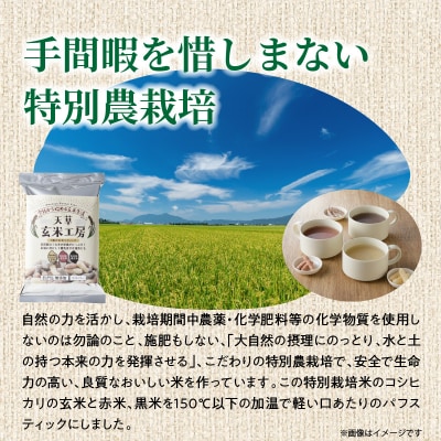 特別栽培米からできた3種の玄米スティック　50g×3袋_S067-034