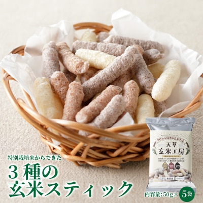 特別栽培米からできた3種の玄米スティック　50g×5袋_S067-035