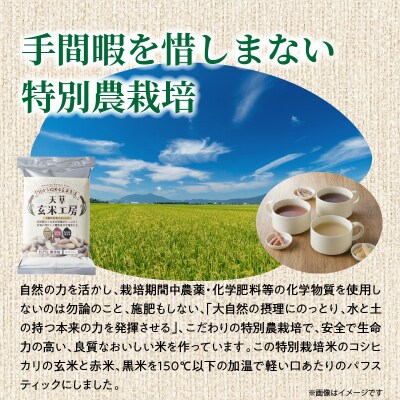 特別栽培米からできた3種の玄米スティック　50g×5袋_S067-035