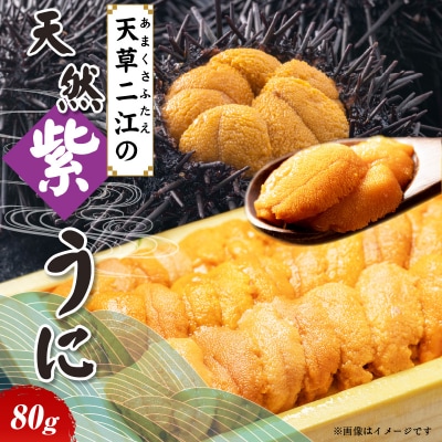天草二江の天然紫うに 80g_S157-011