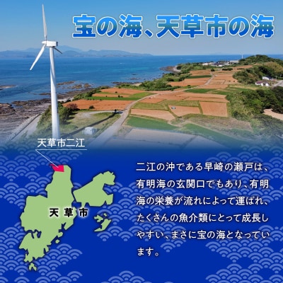 天草二江の天然紫うに 100g_S157-012