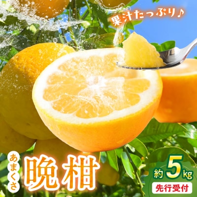 あまくさ晩柑 約5kg【先行受付】_S149-003
